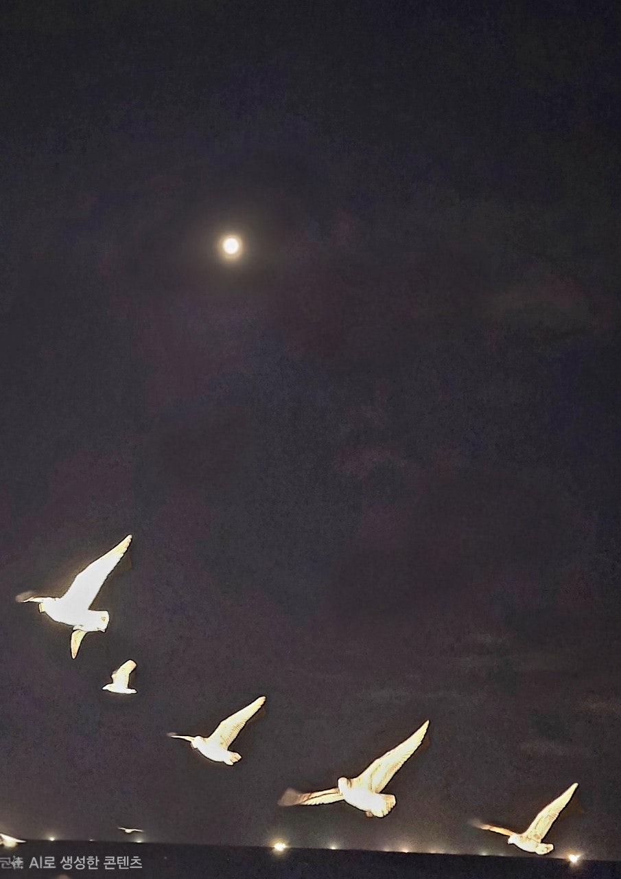 사용자가 올린 이미지