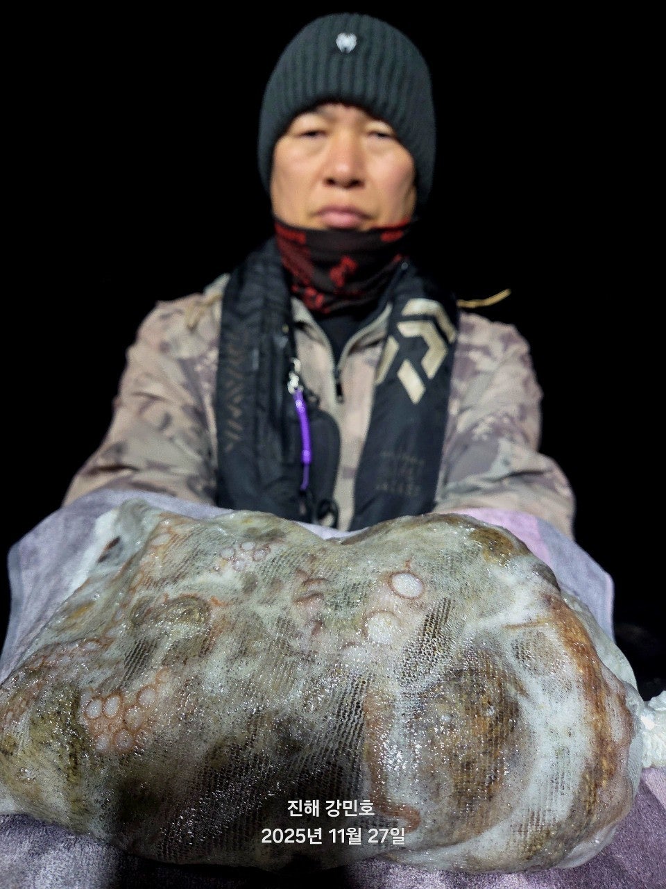 사용자가 올린 이미지