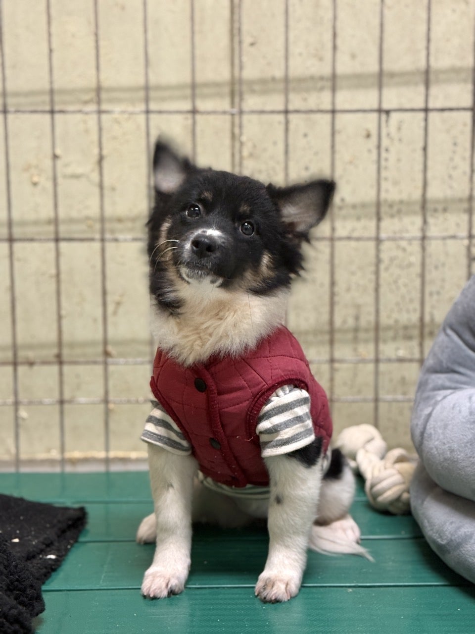 사용자가 올린 이미지