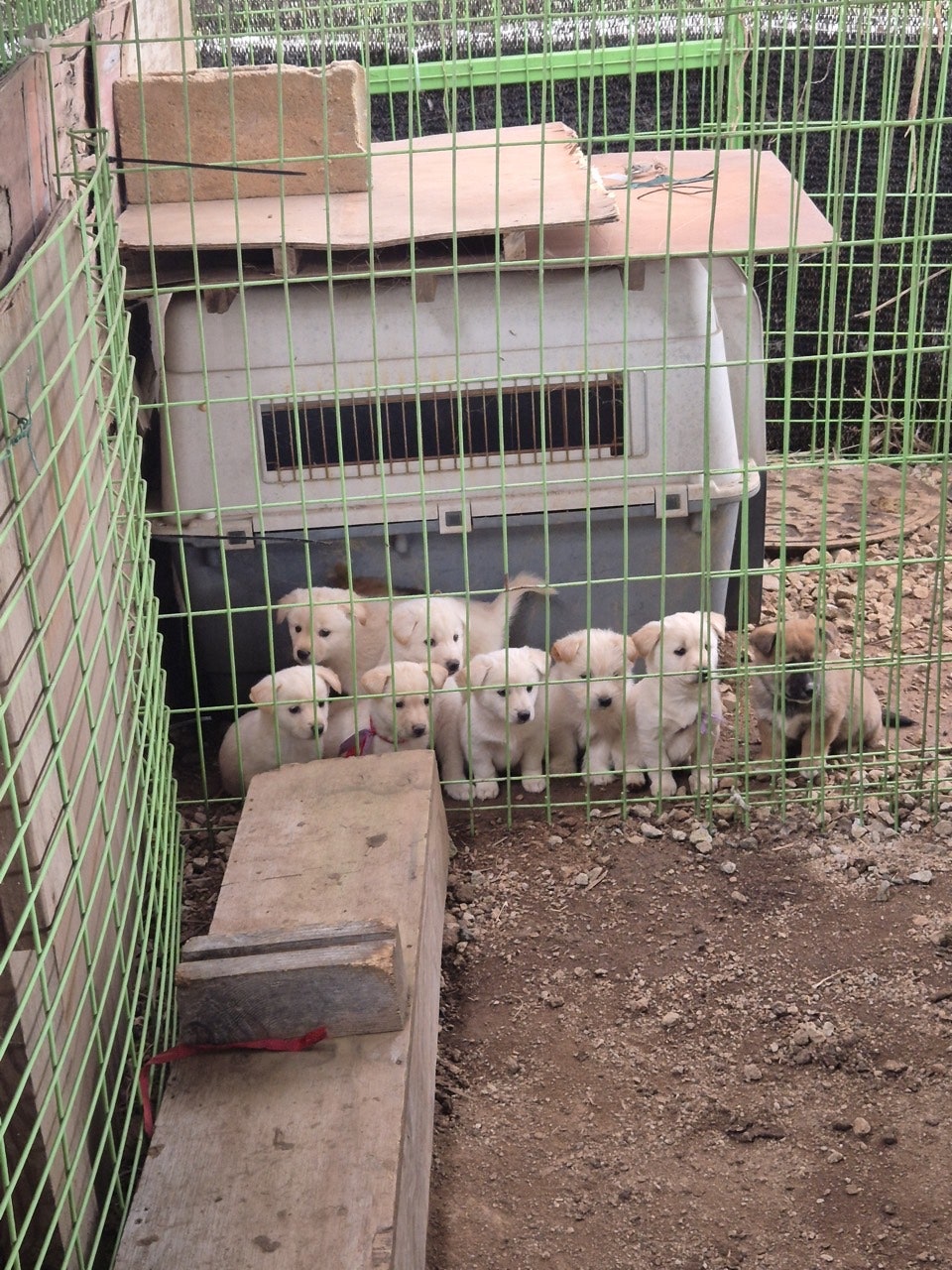 사용자가 올린 이미지