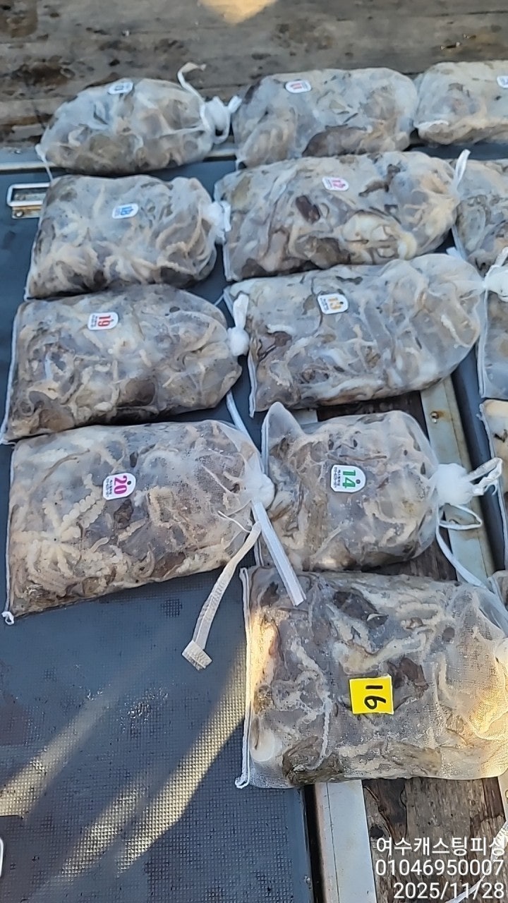 ����ڰ� �ø� �̹���