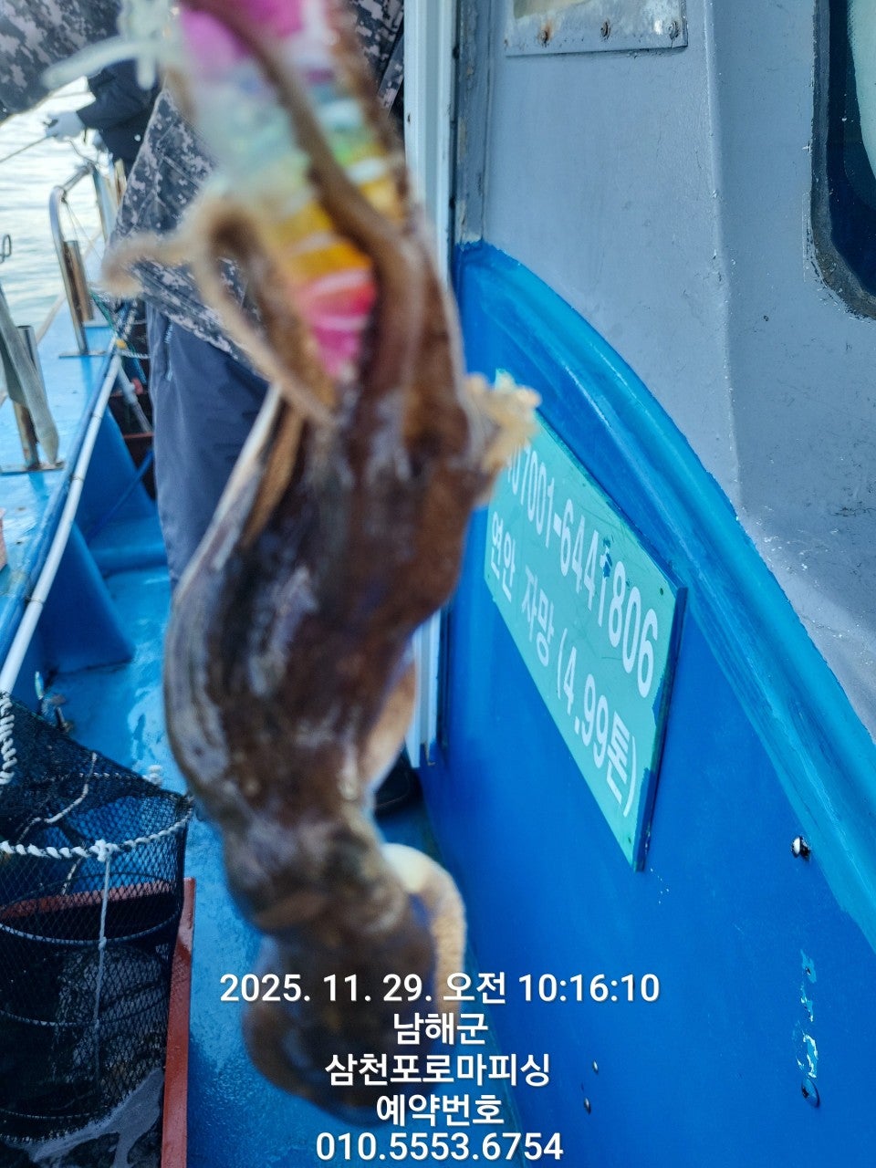 사용자가 올린 이미지