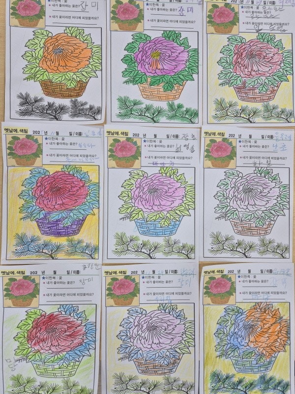 사용자가 올린 이미지