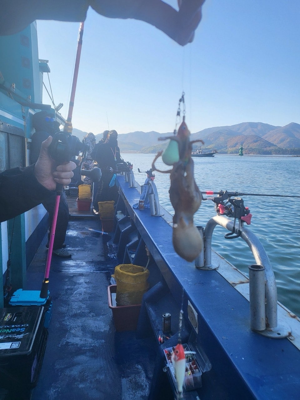 사용자가 올린 이미지