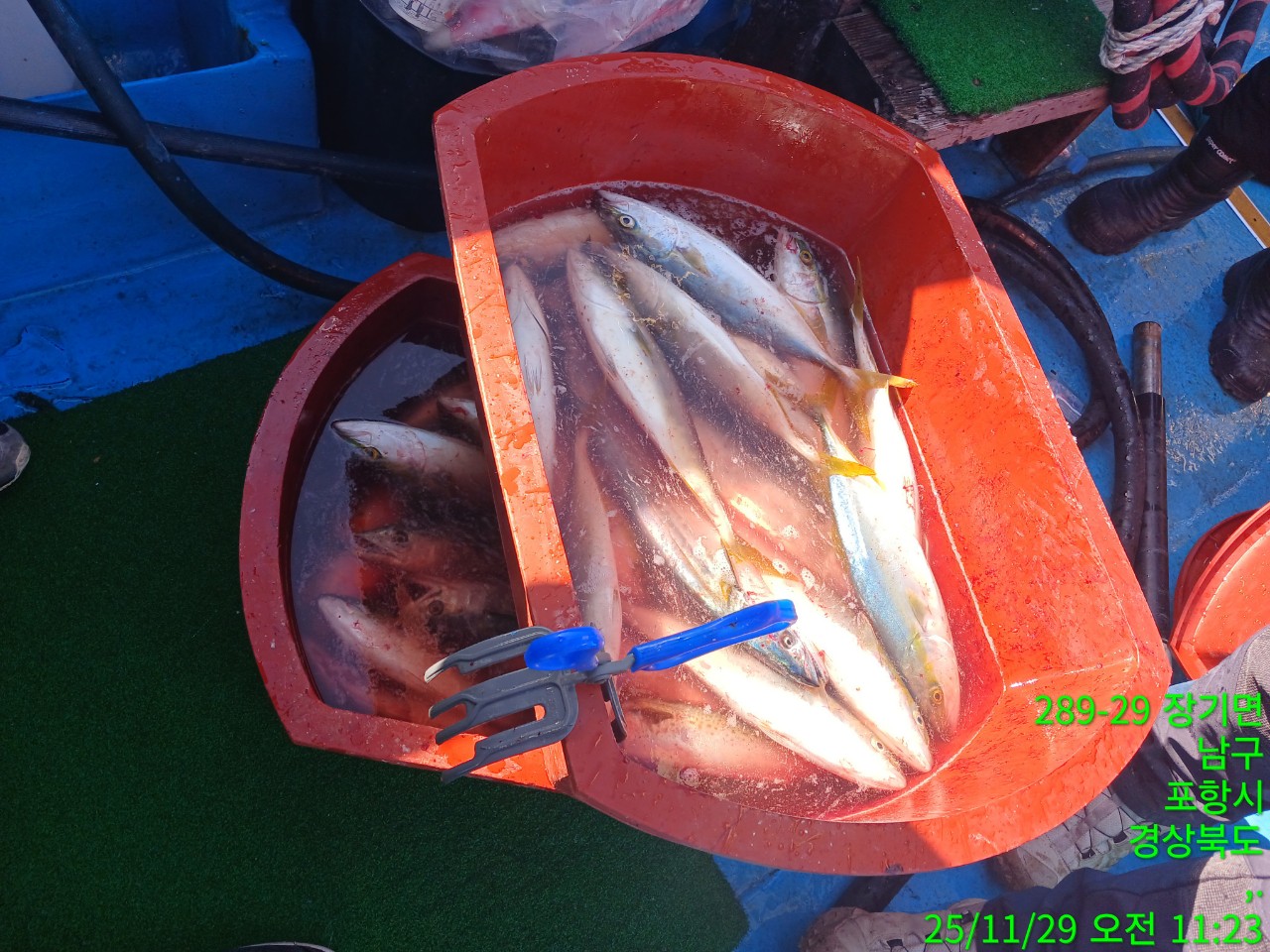 c_gciUd018svc1kbzq9z72sv74_9bt2m0.jpg