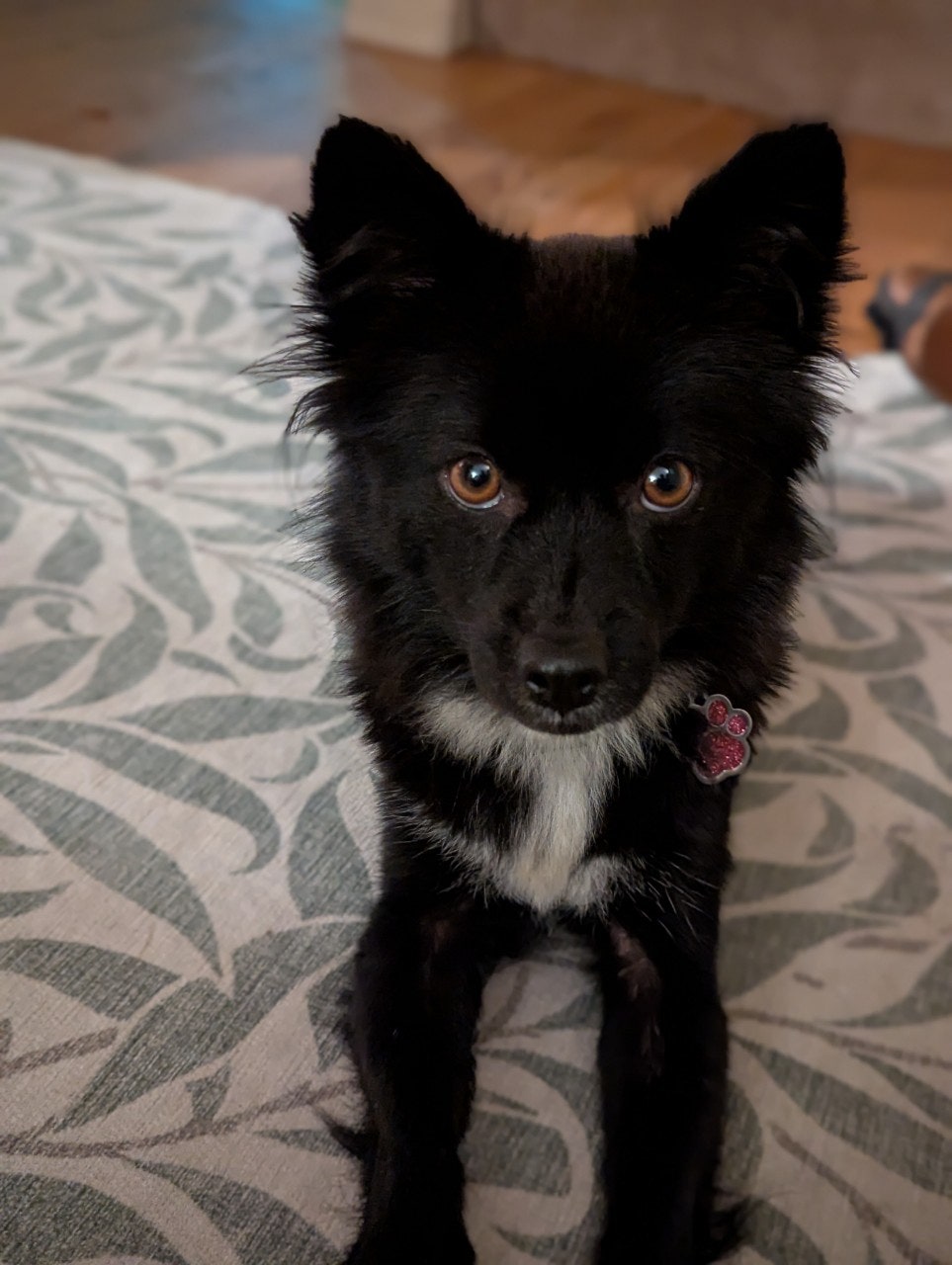 사용자가 올린 이미지