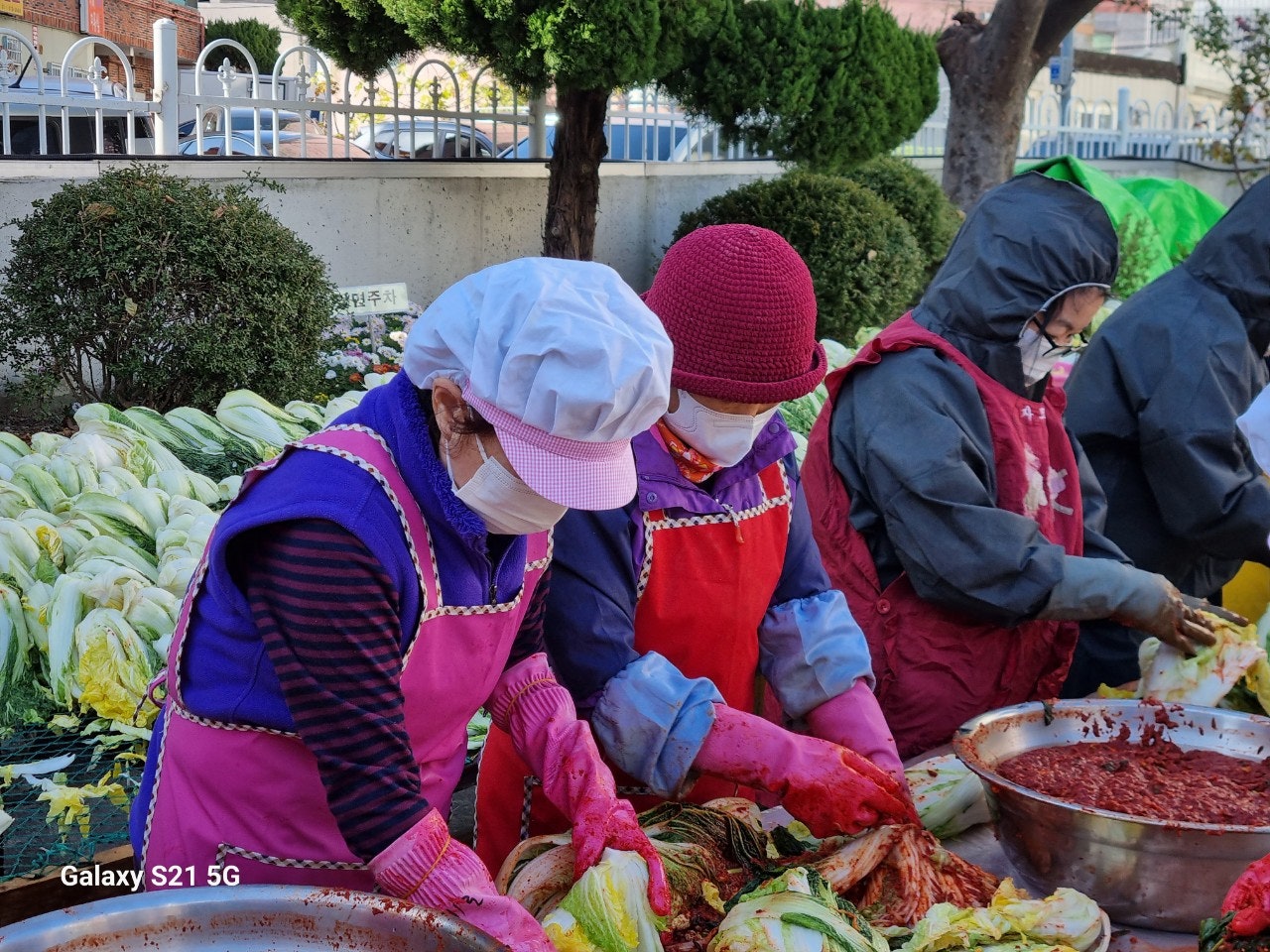 사용자가 올린 이미지