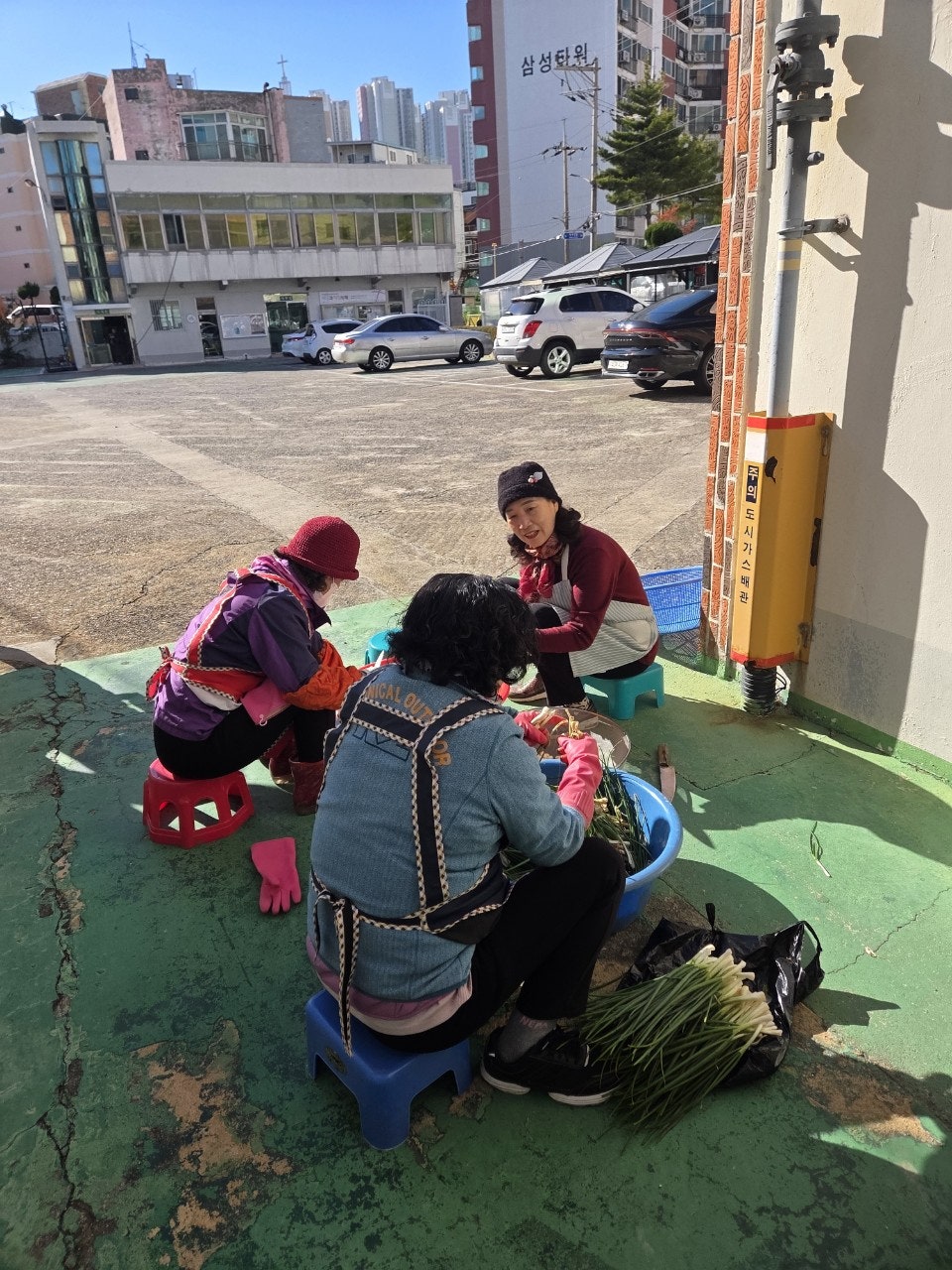 사용자가 올린 이미지