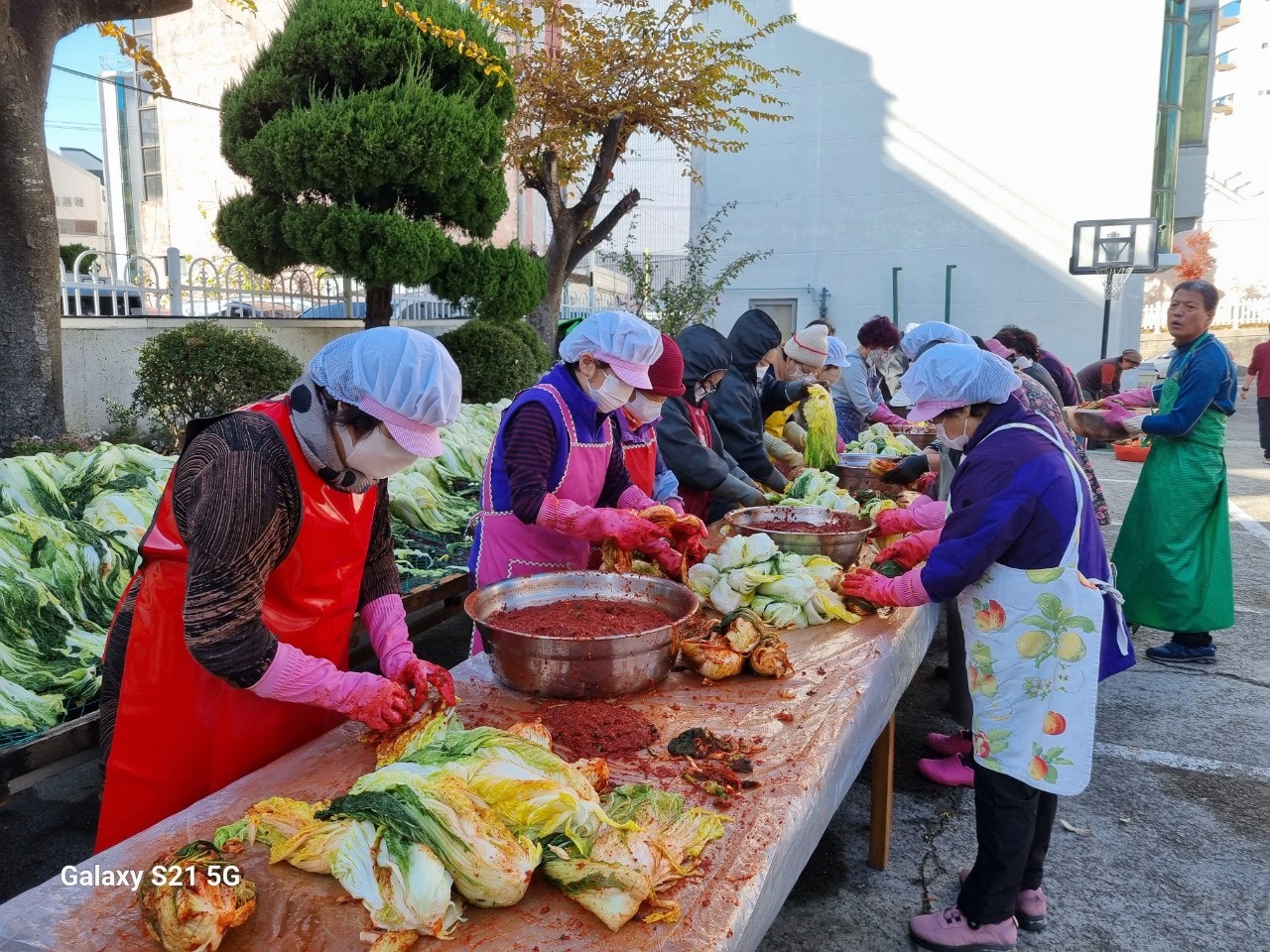 사용자가 올린 이미지
