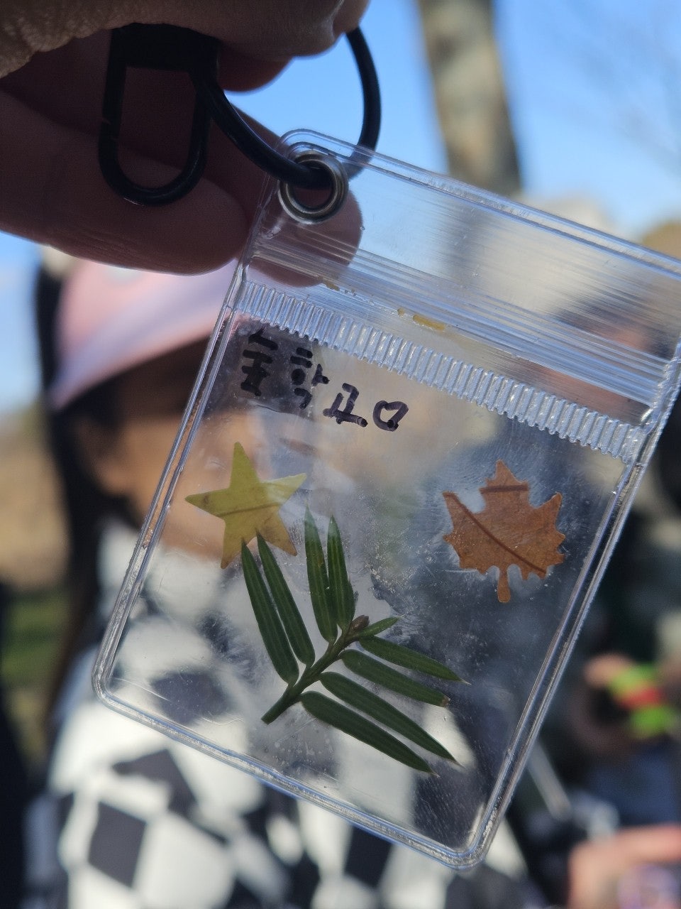 사용자가 올린 이미지