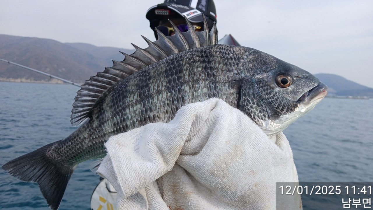 사용자가 올린 이미지