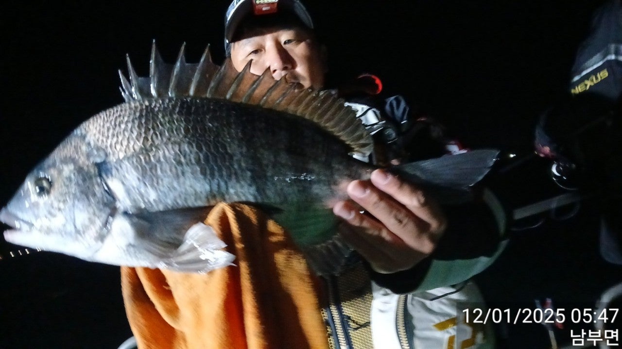 사용자가 올린 이미지