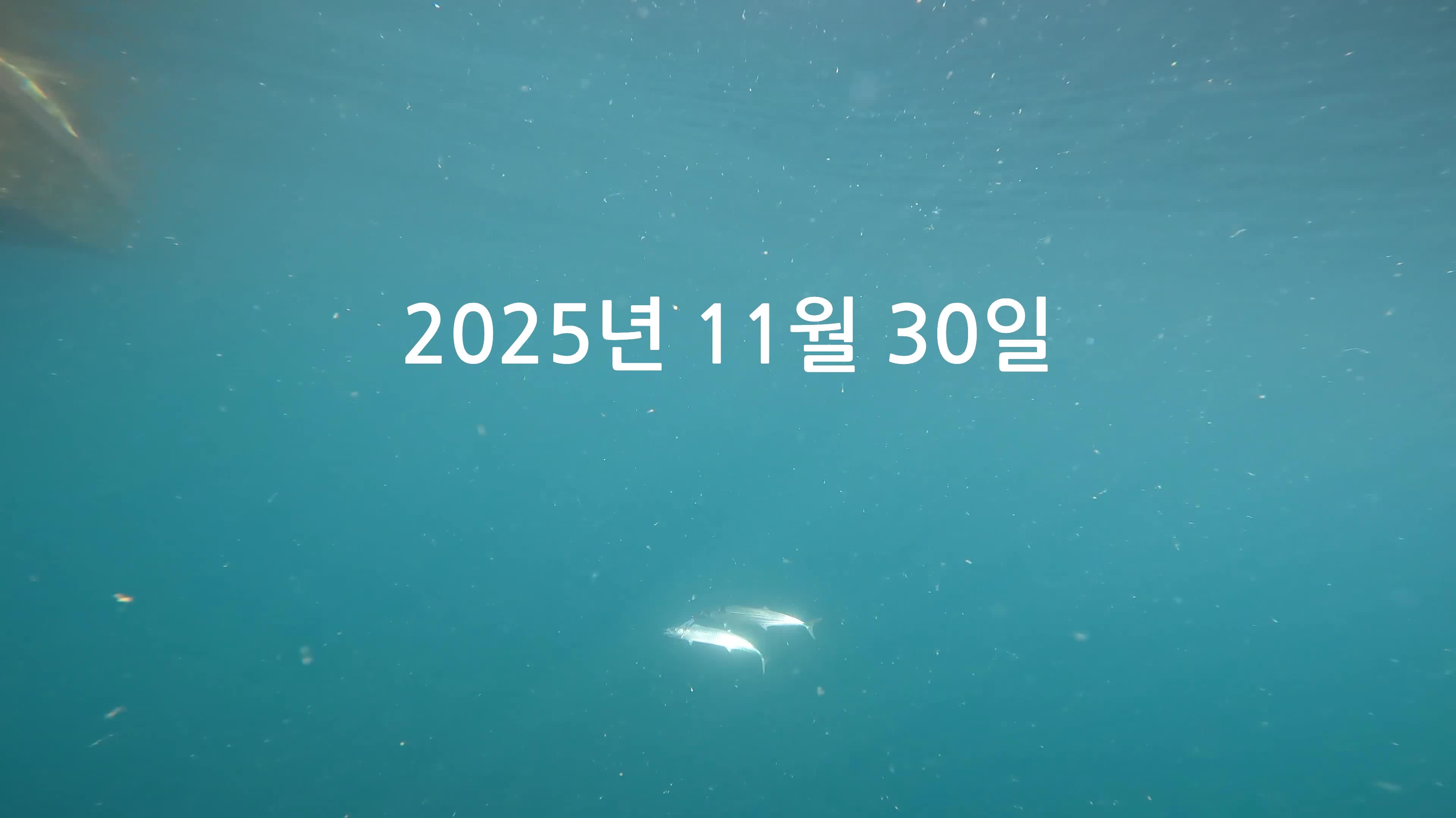 1_j22Ud018svcboq8yiru3i2k_qs86qm.jpg