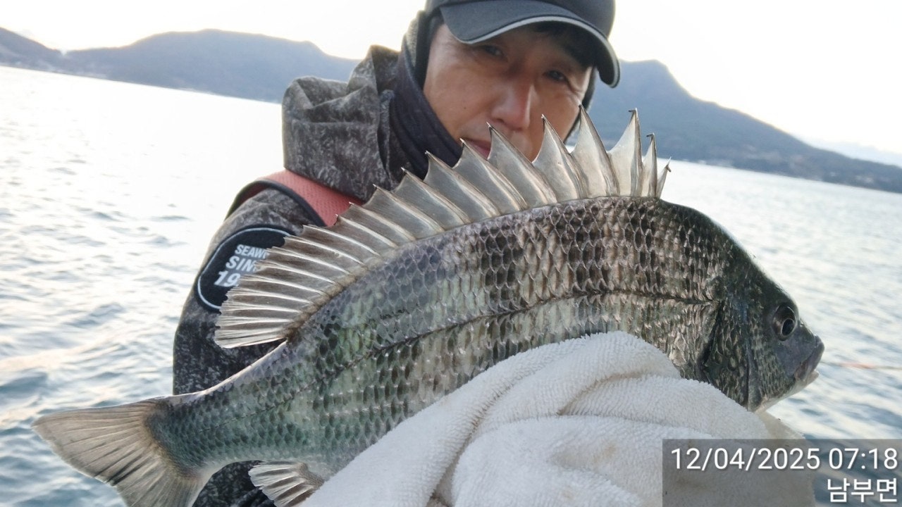 사용자가 올린 이미지