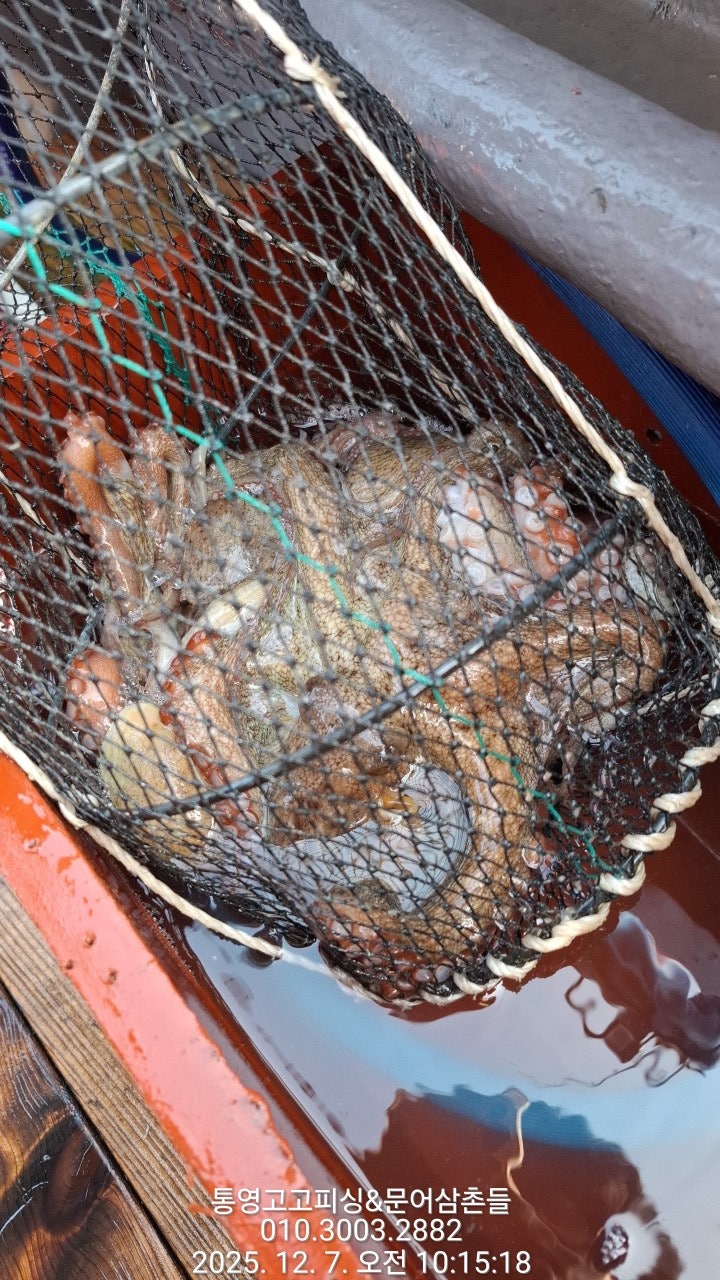 ����ڰ� �ø� �̹���