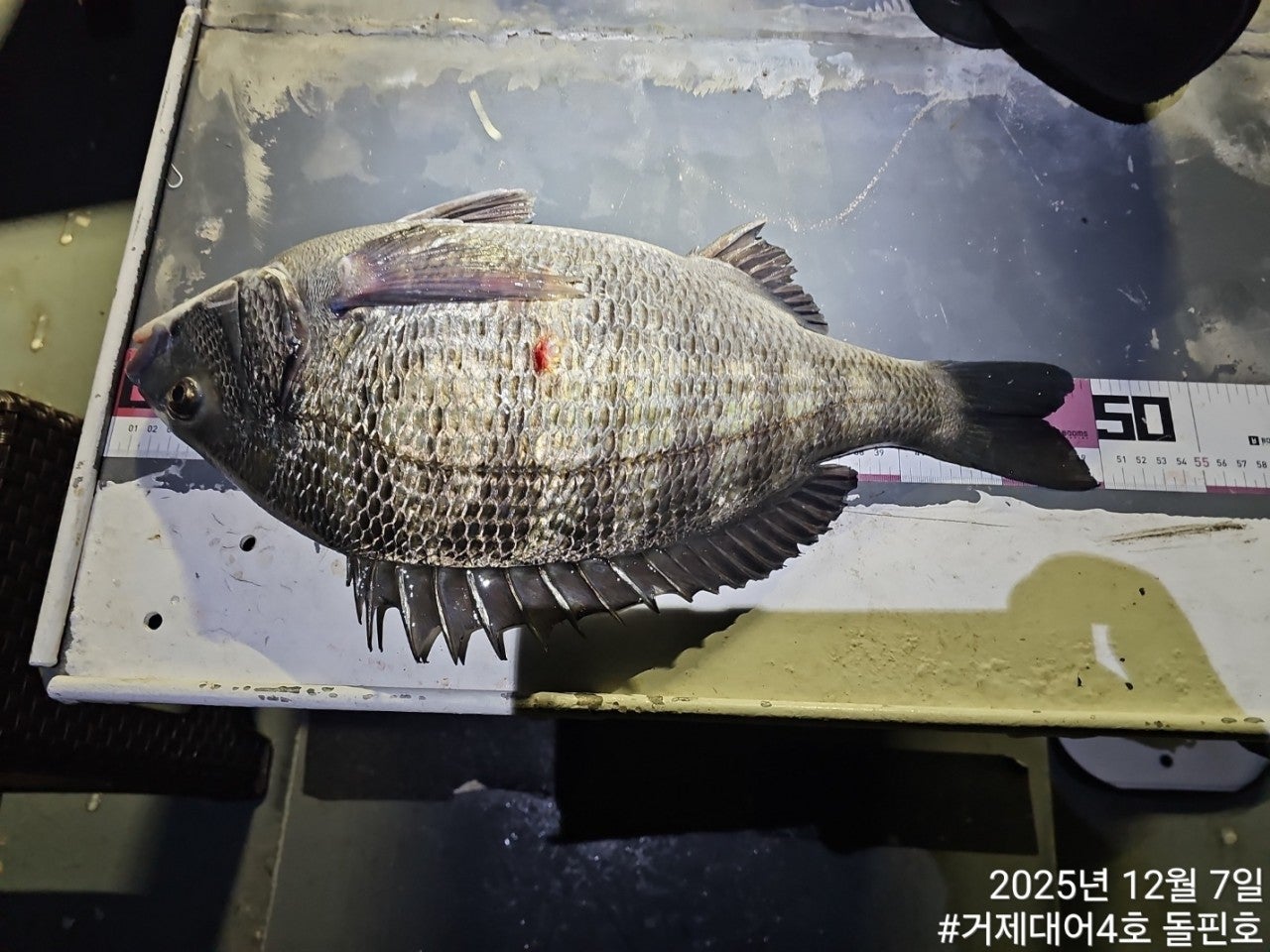 ����ڰ� �ø� �̹���