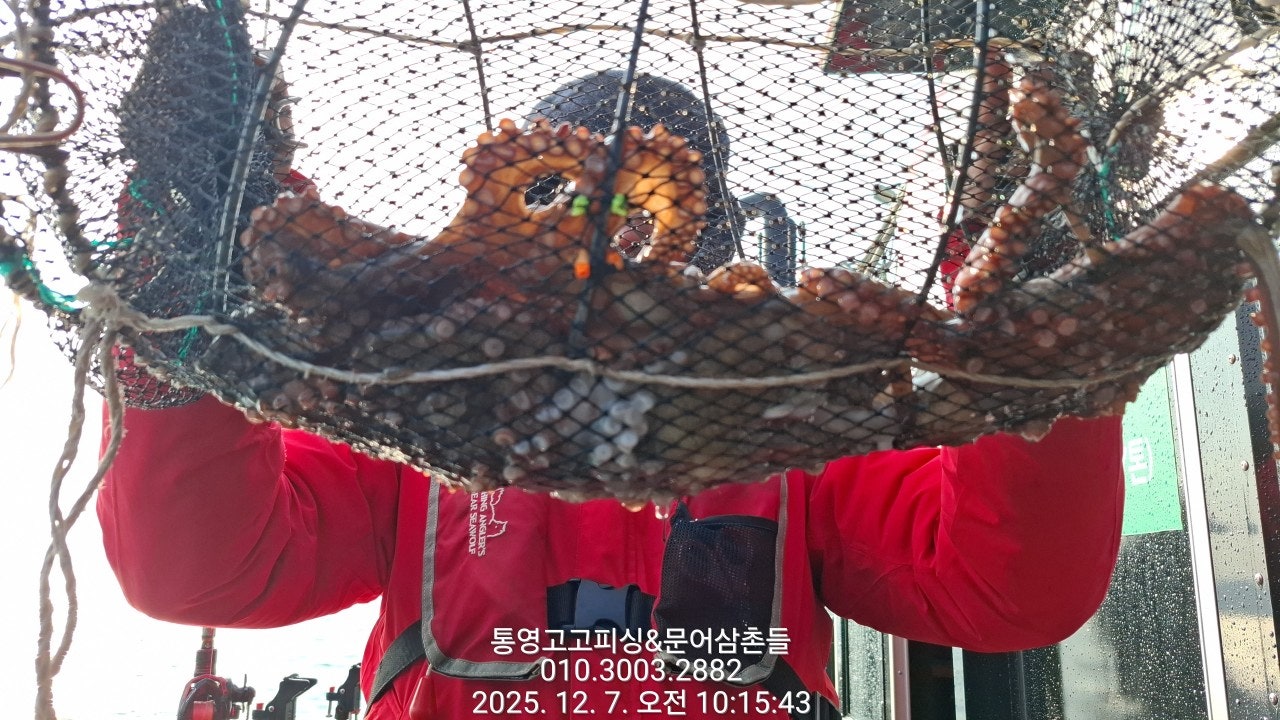 ����ڰ� �ø� �̹���