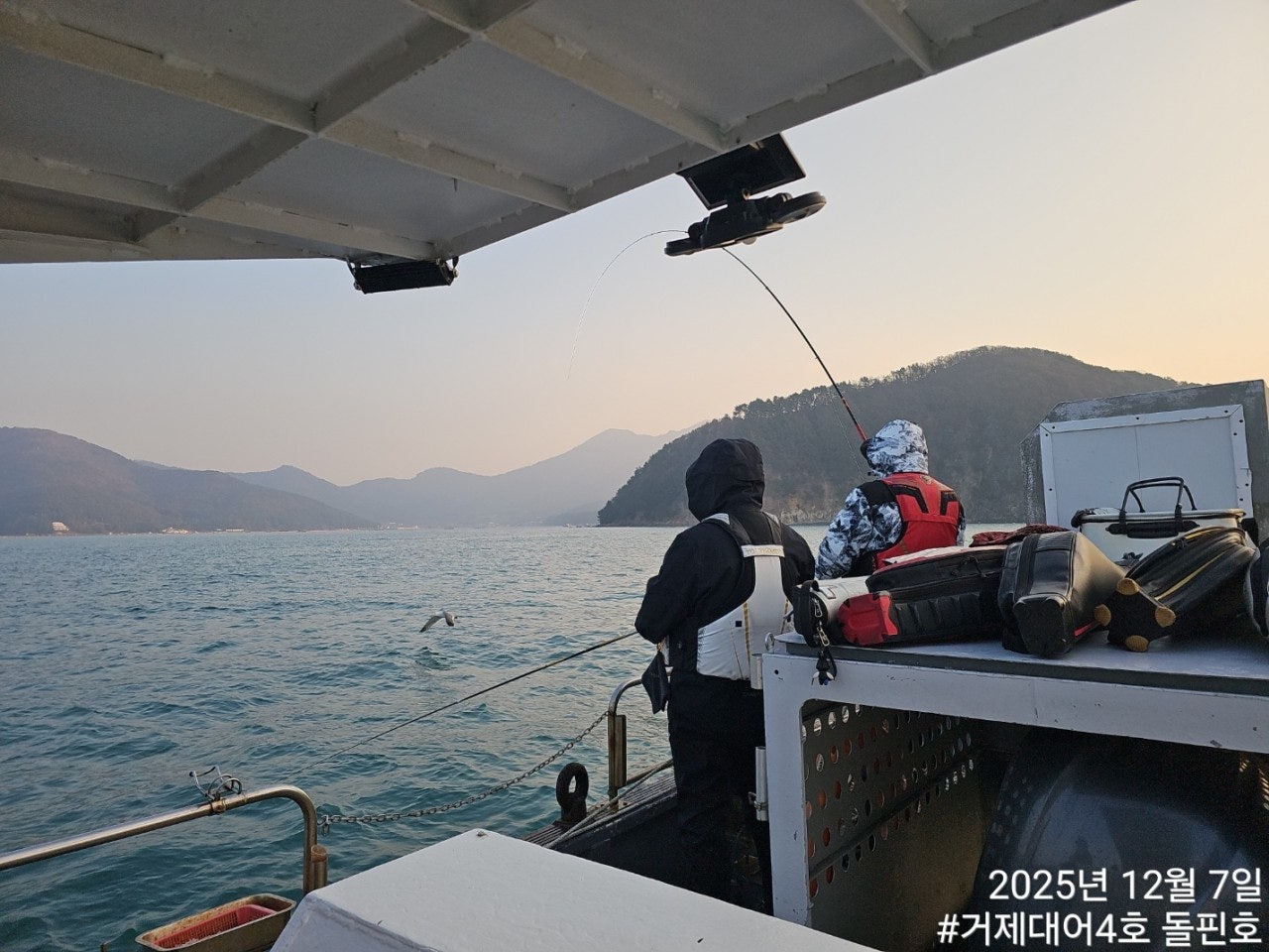 ����ڰ� �ø� �̹���