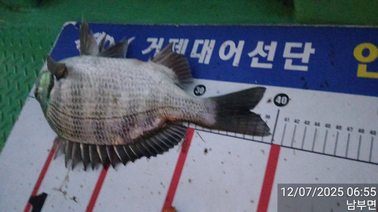 ����ڰ� �ø� �̹���