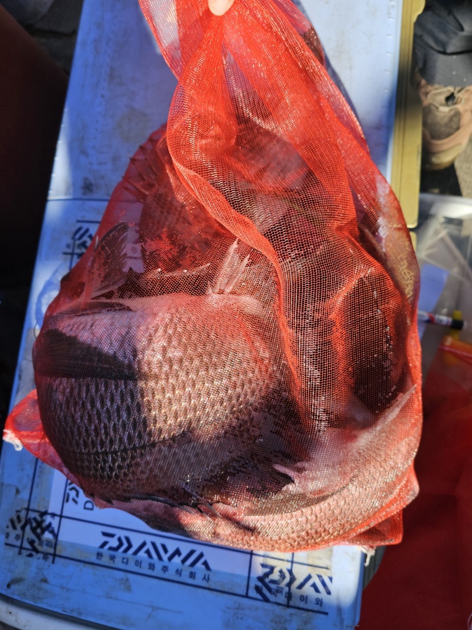 사용자가 올린 이미지