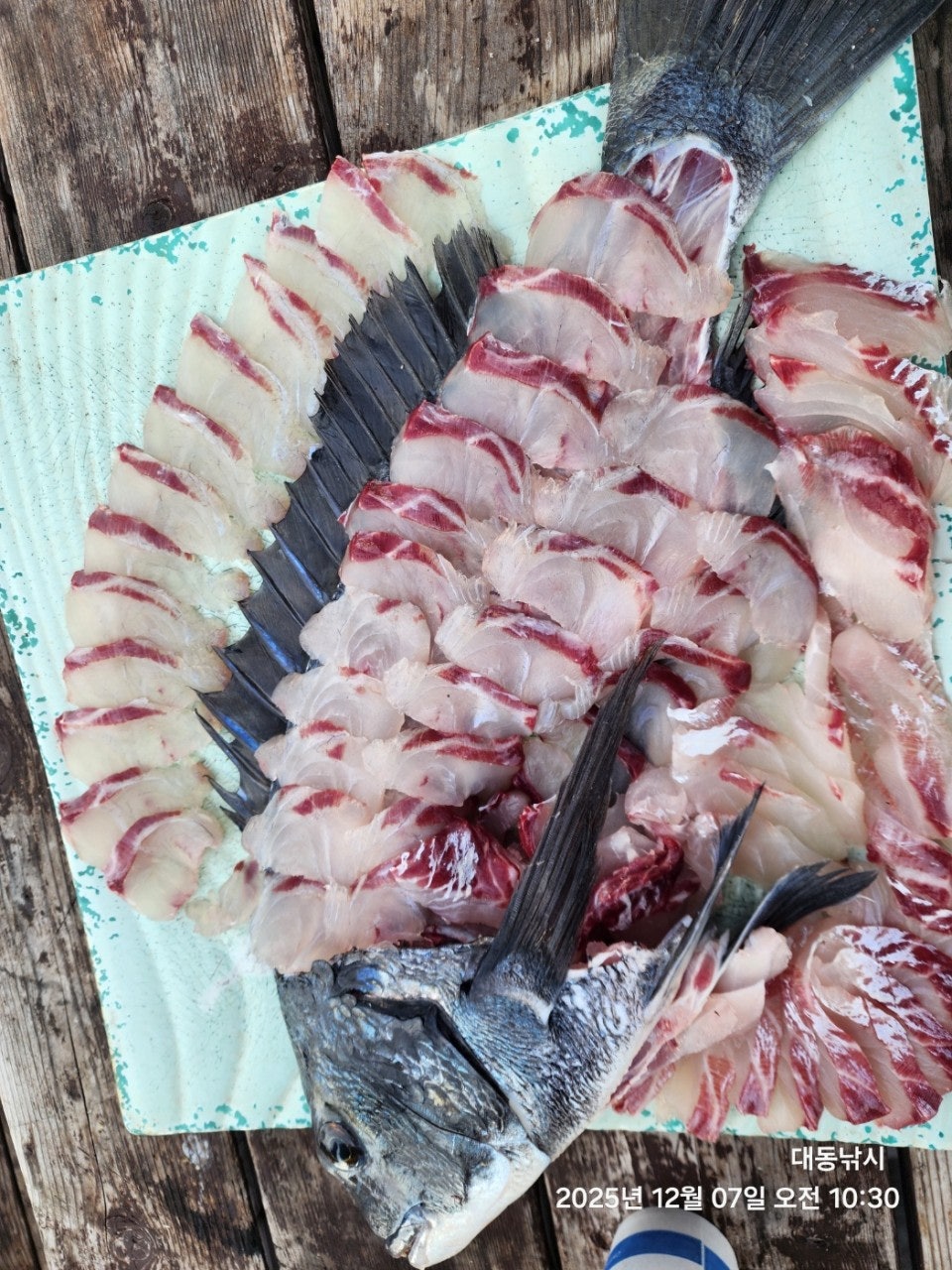 사용자가 올린 이미지