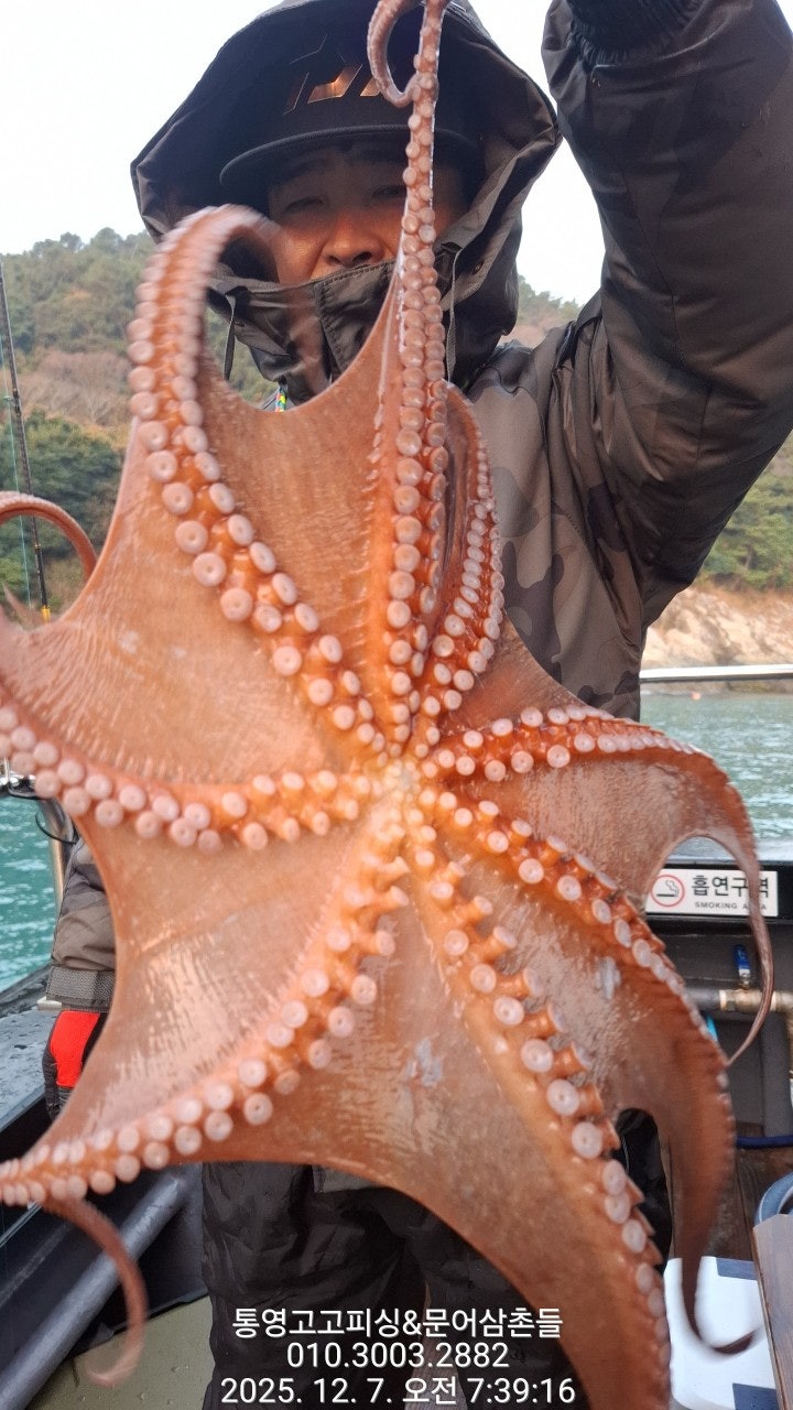 ����ڰ� �ø� �̹���