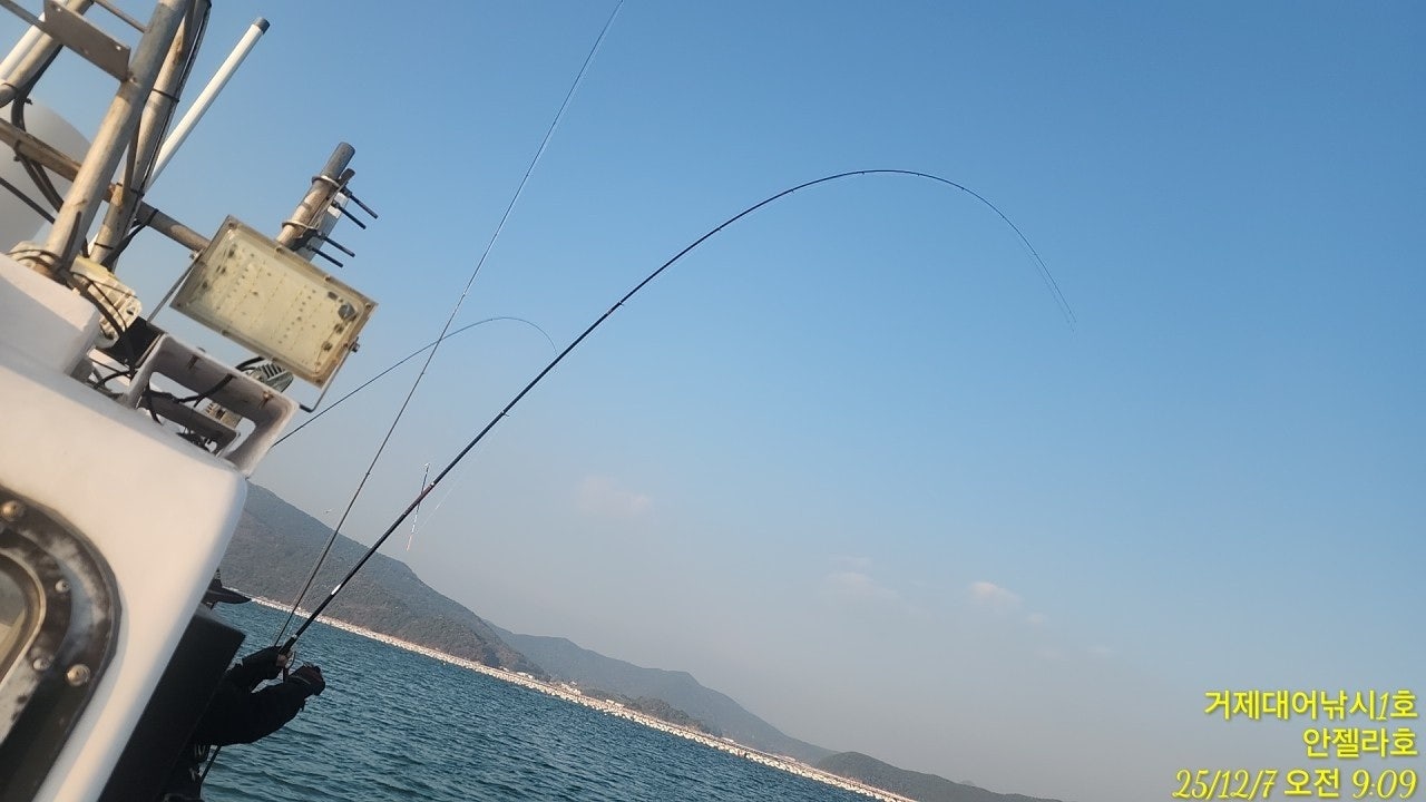 ����ڰ� �ø� �̹���