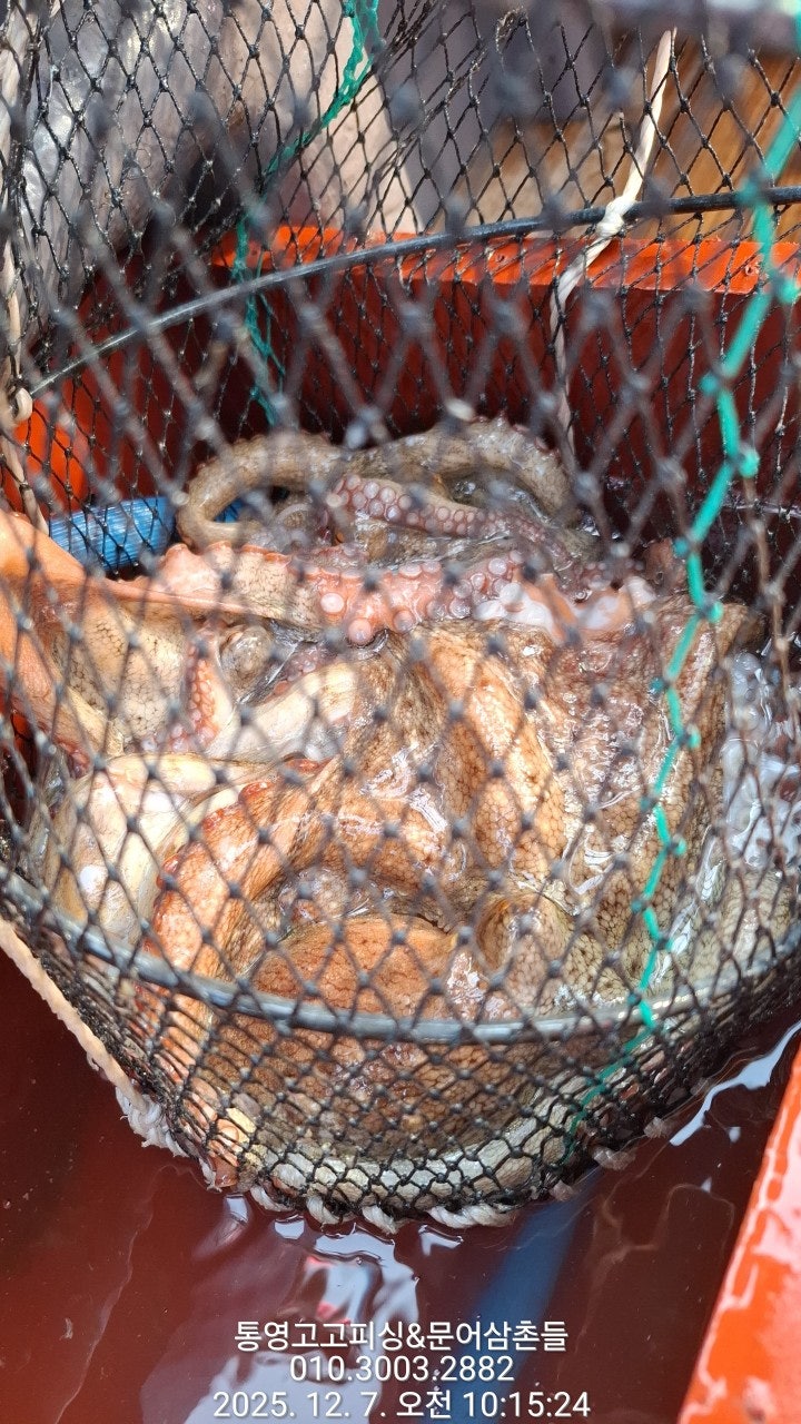 ����ڰ� �ø� �̹���