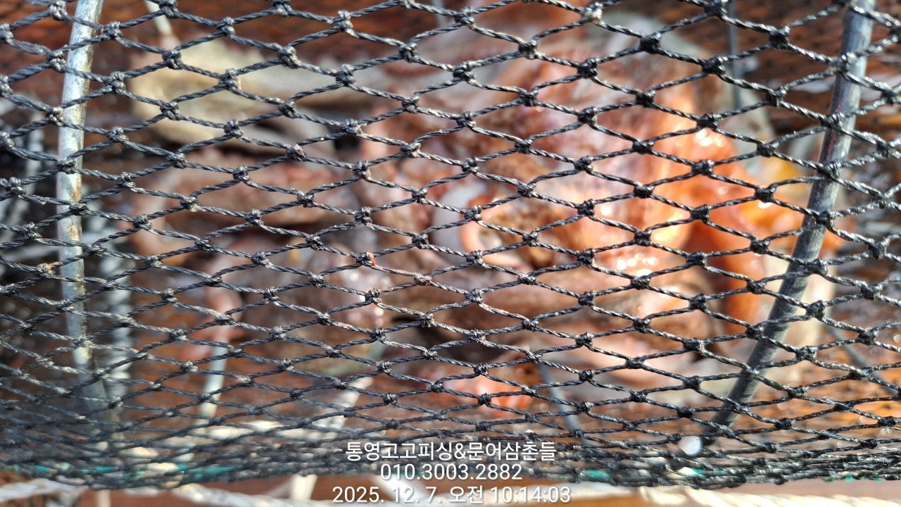 ����ڰ� �ø� �̹���