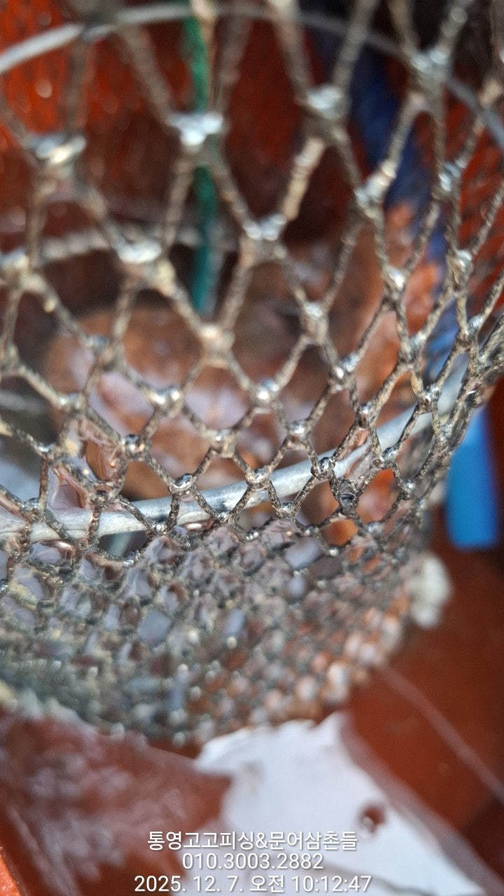 ����ڰ� �ø� �̹���