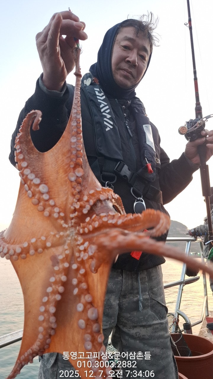 ����ڰ� �ø� �̹���