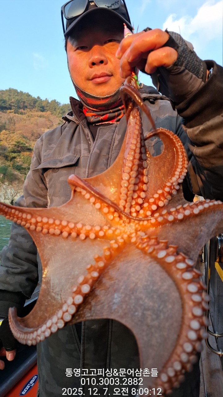 ����ڰ� �ø� �̹���