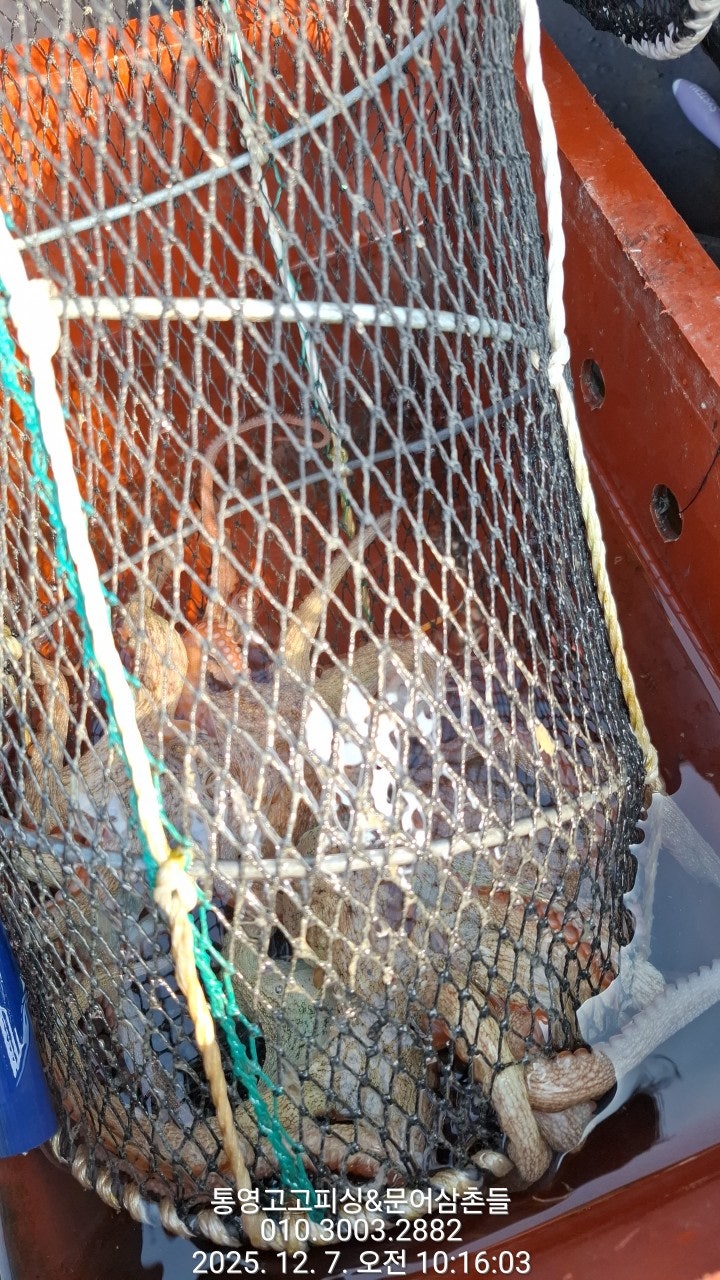 ����ڰ� �ø� �̹���