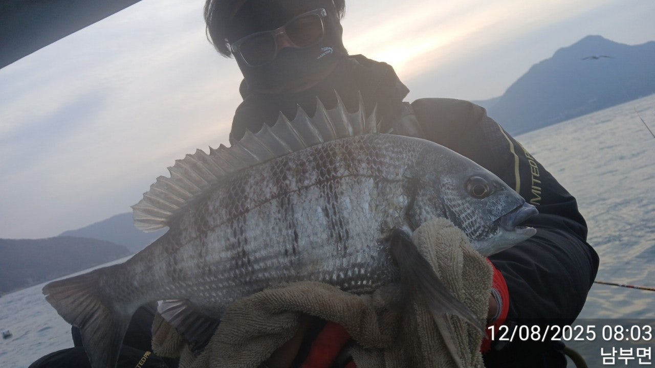 사용자가 올린 이미지