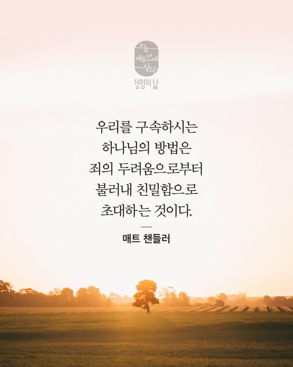 ����ڰ� �ø� �̹���