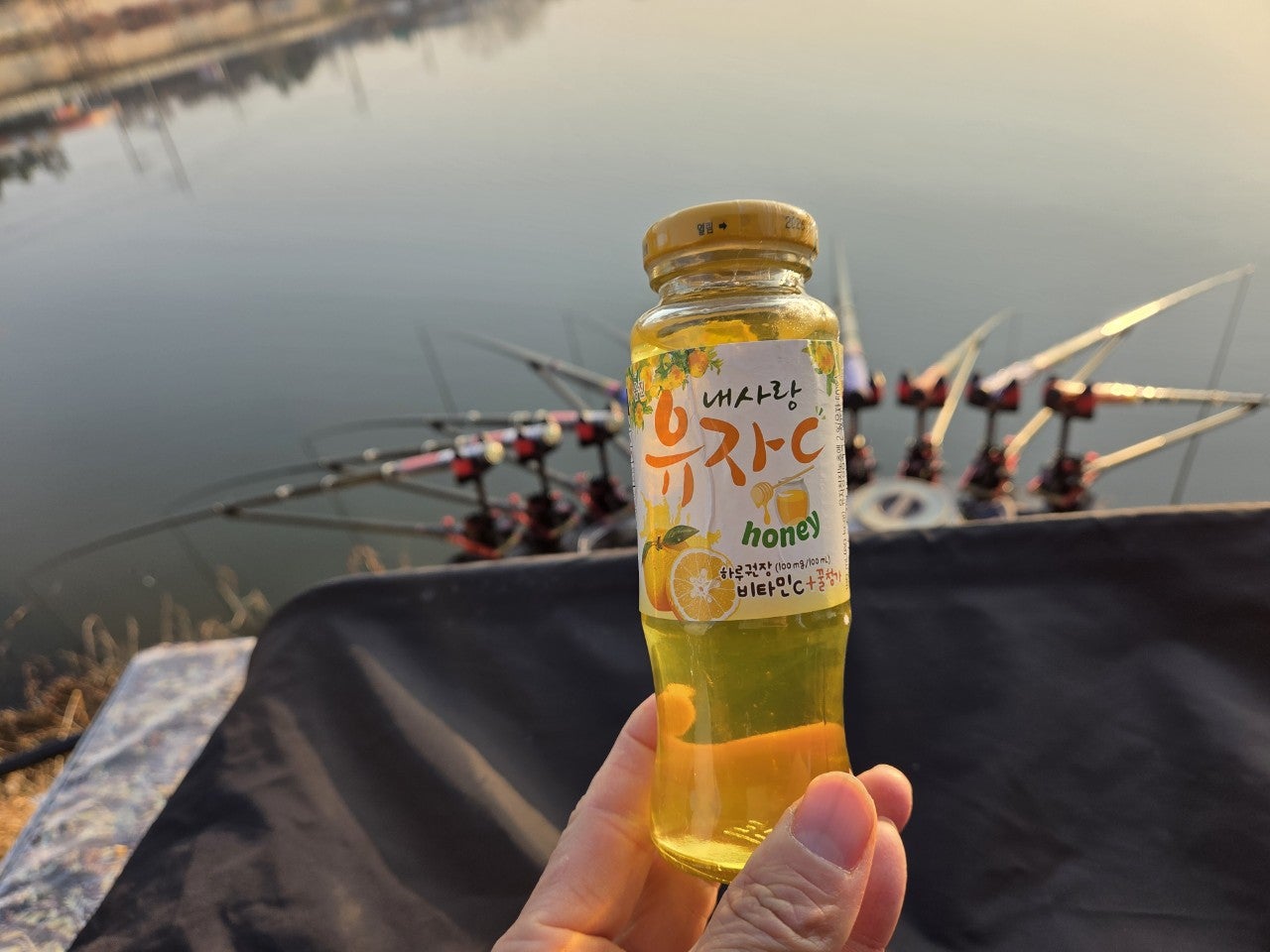 사용자가 올린 이미지