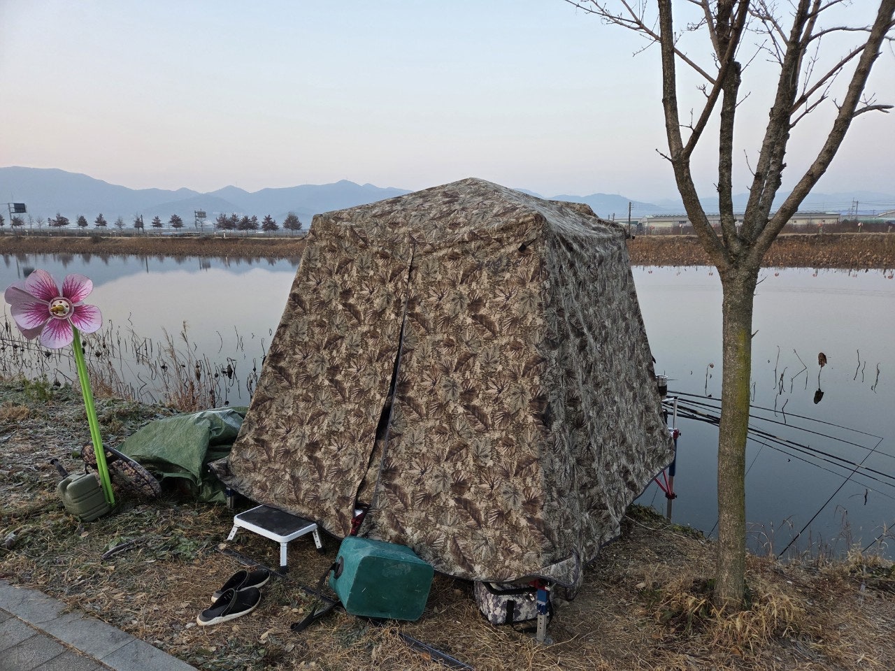 사용자가 올린 이미지