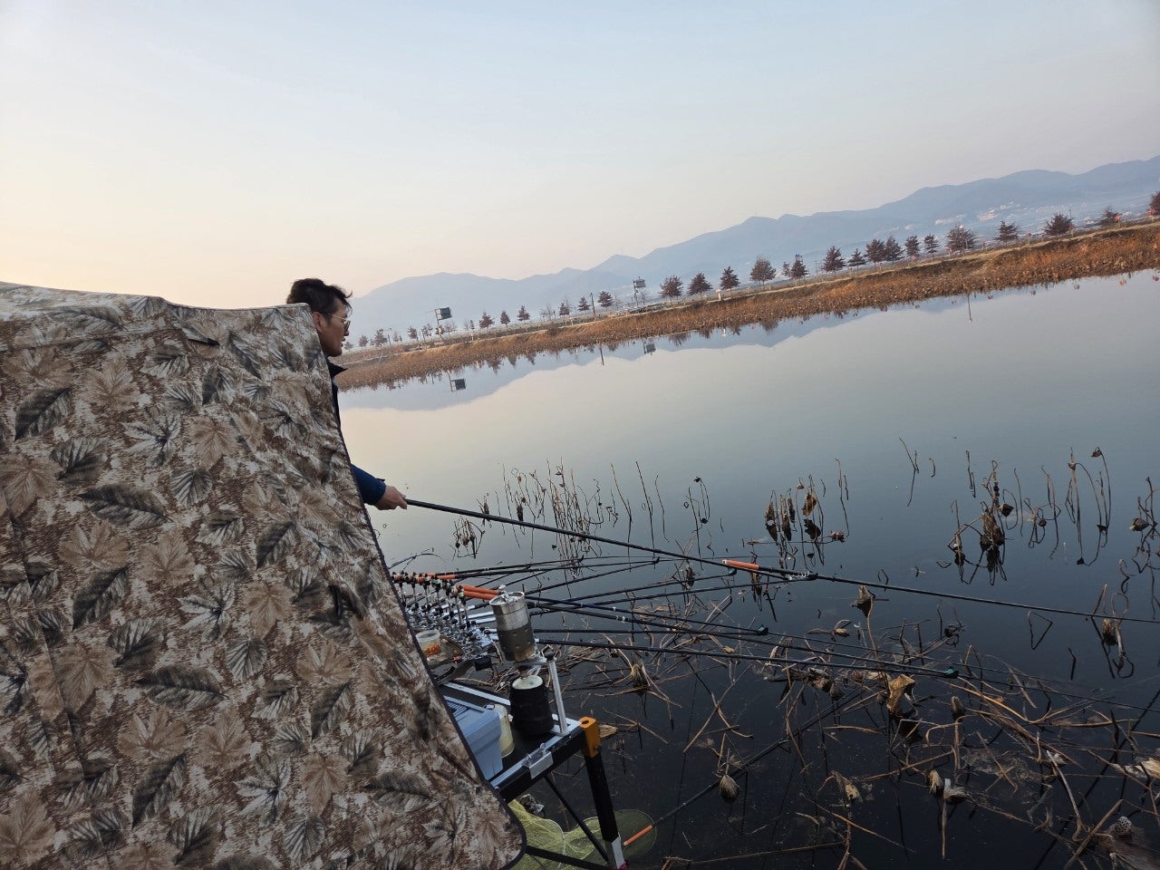 사용자가 올린 이미지
