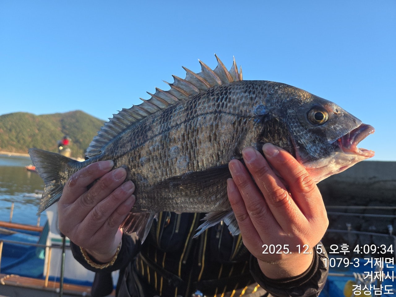 사용자가 올린 이미지