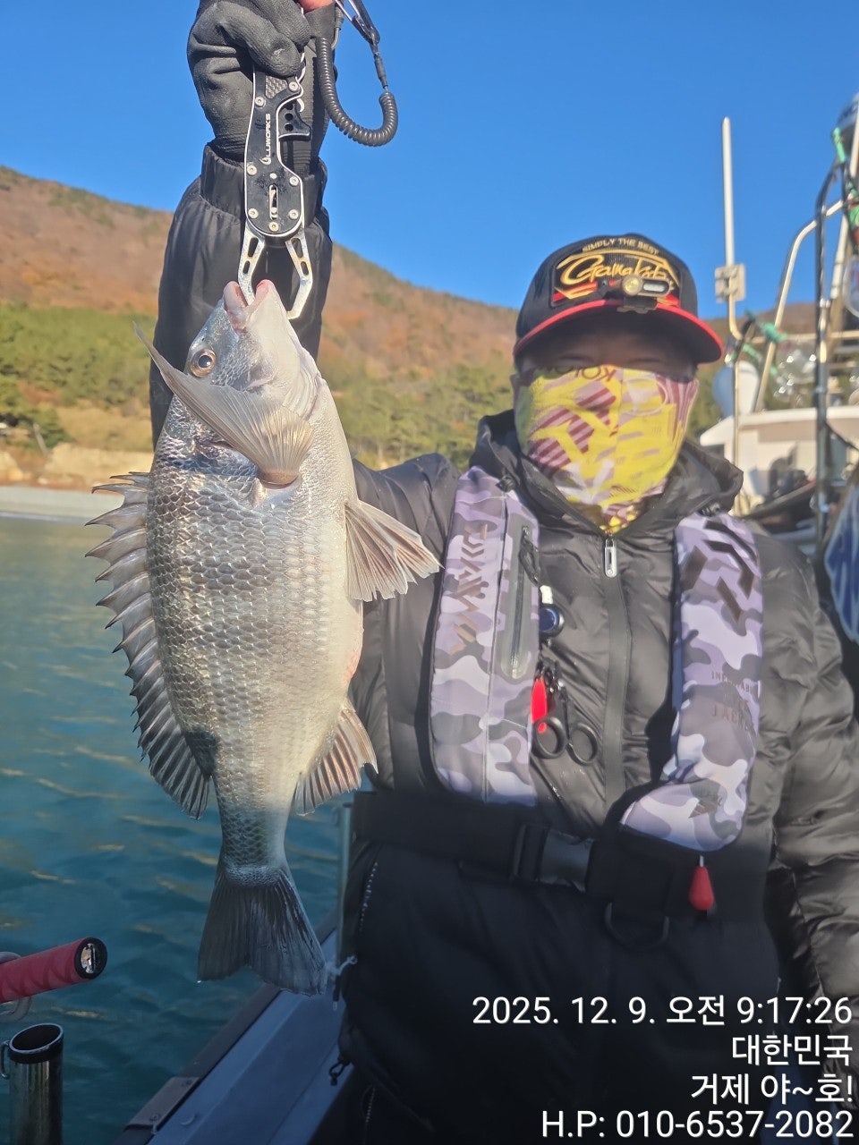 사용자가 올린 이미지