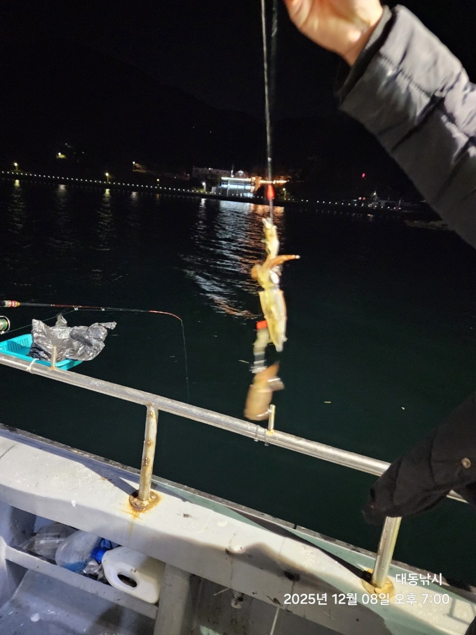 사용자가 올린 이미지