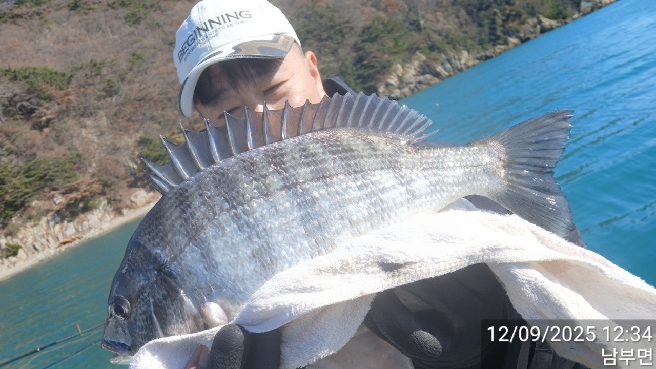 사용자가 올린 이미지