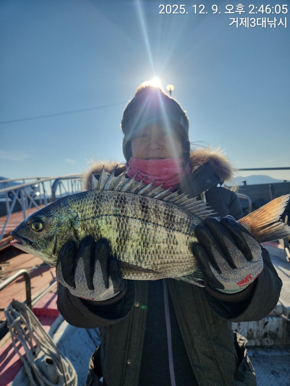 사용자가 올린 이미지