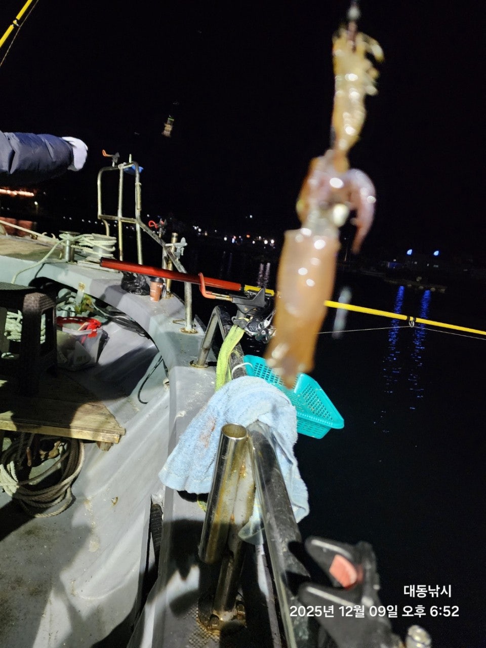 사용자가 올린 이미지