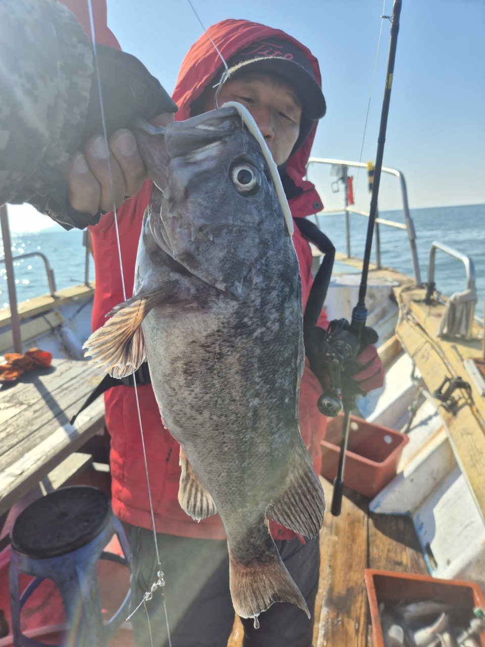 사용자가 올린 이미지