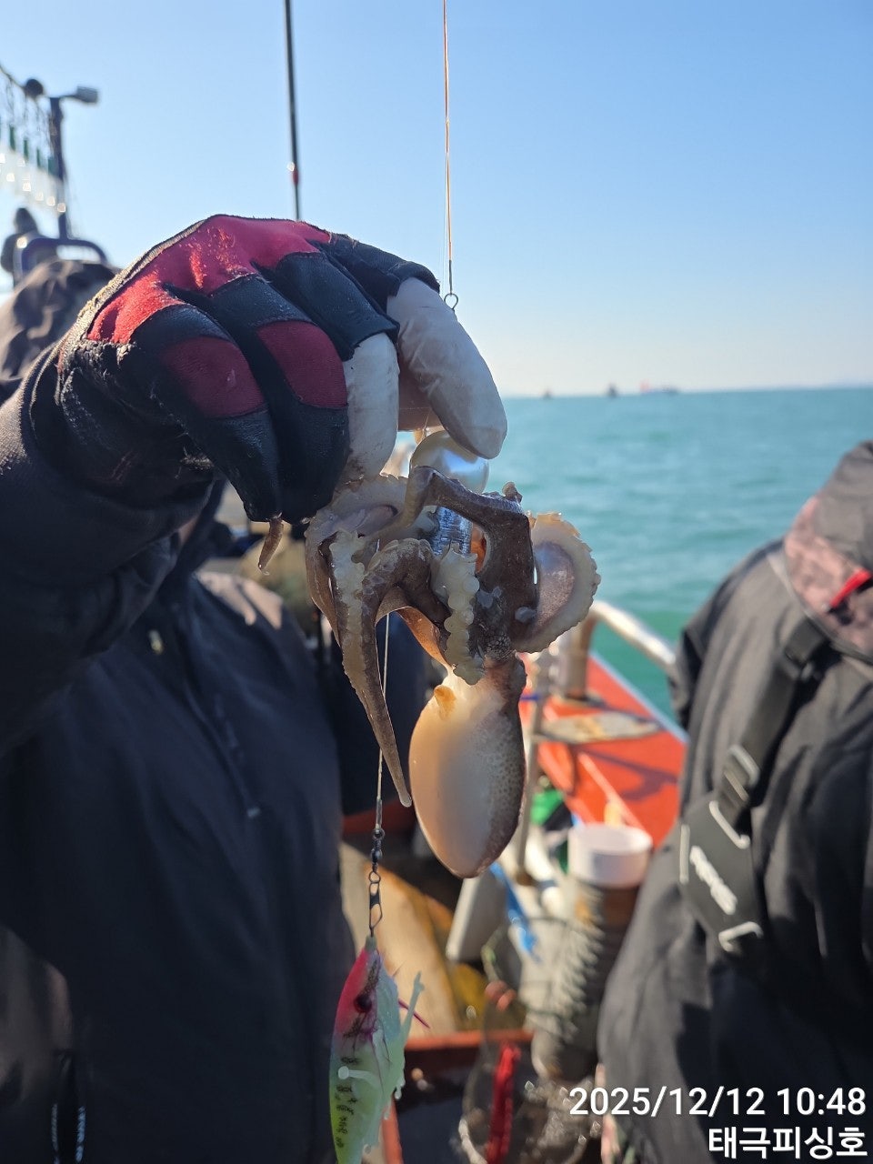 사용자가 올린 이미지