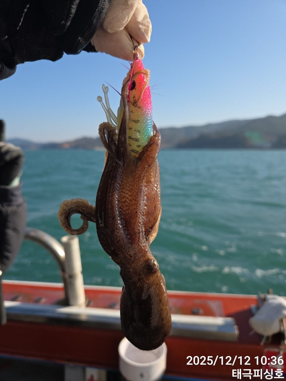 사용자가 올린 이미지