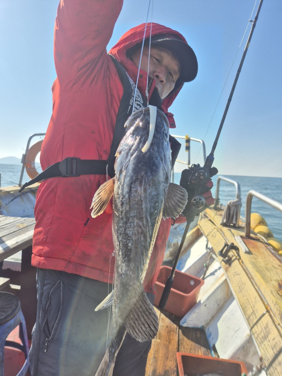 사용자가 올린 이미지