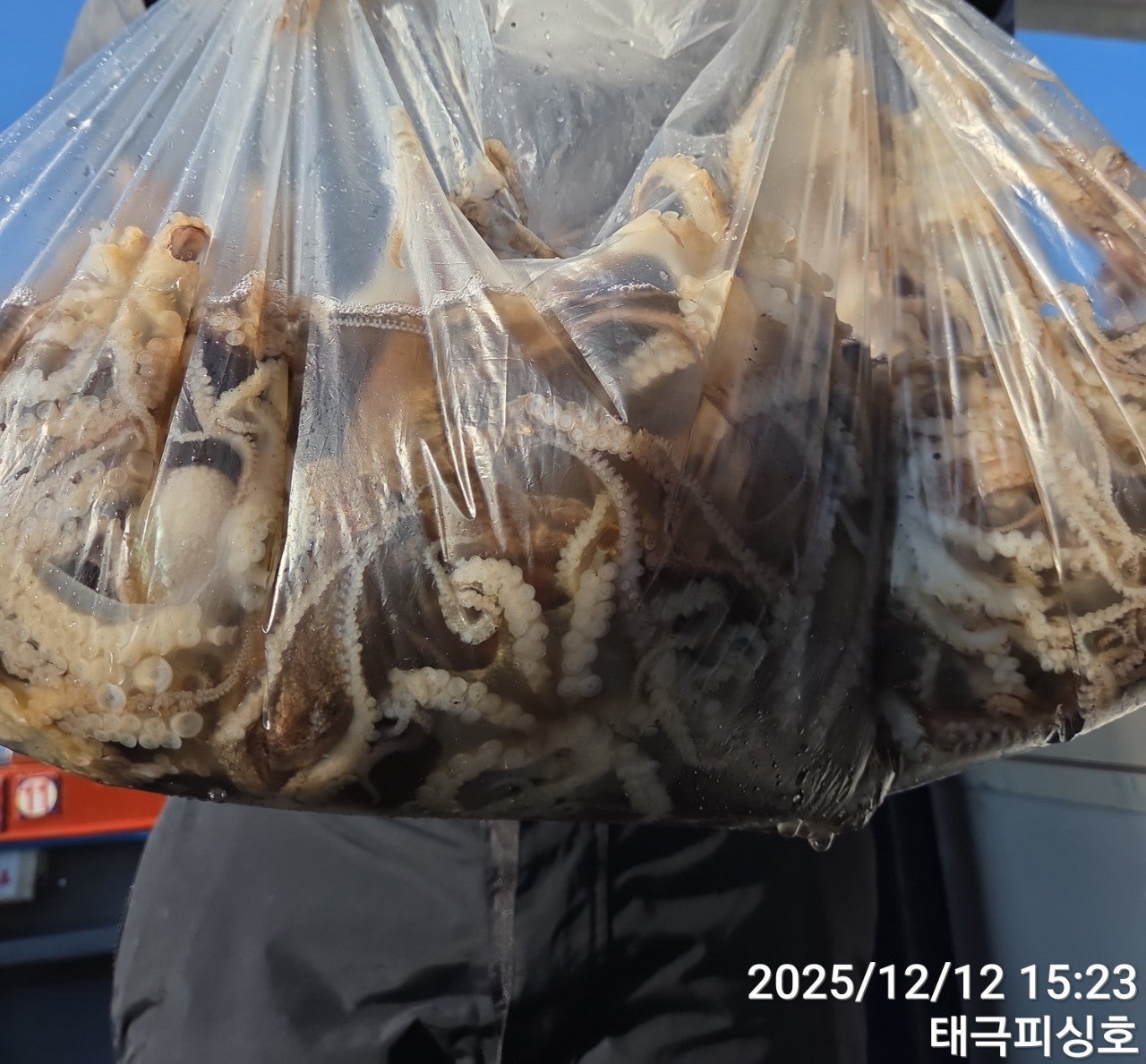 사용자가 올린 이미지