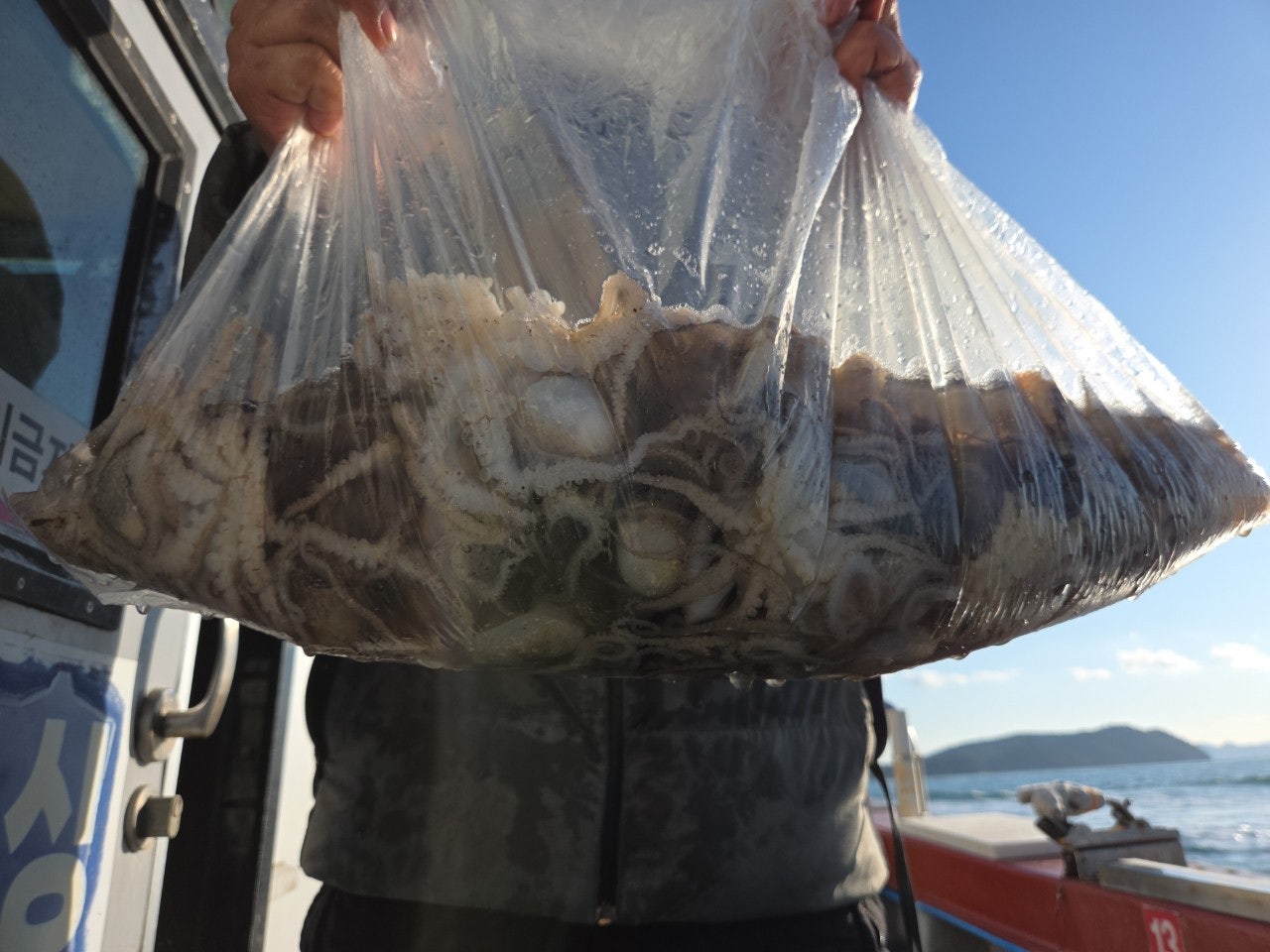 사용자가 올린 이미지